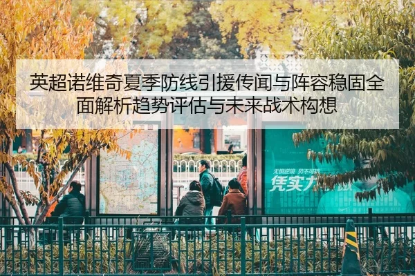 英超诺维奇夏季防线引援传闻与阵容稳固全面解析趋势评估与未来战术构想