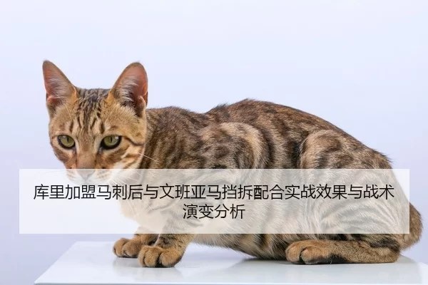 ku-li-jia-meng-ma-ci-hou-yu-wen-ban-ya-ma-dang-chai-pei-he-shi-zhan-xiao-guo-yu-zhan-shu-yan-bian-fen-xi-2-130.jpg